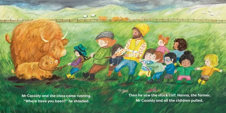 Highland cow illustration, picture book illustration, pulling a calf out of the mud, children illustration, highland cow picture